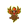 SAGE Phoenix